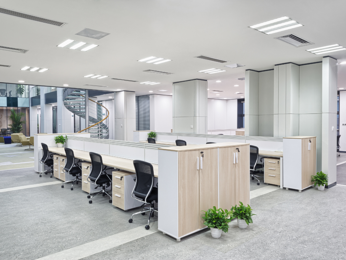 Open-plan office with rows of desks, black chairs, white partitions, and potted plants in a bright workspace