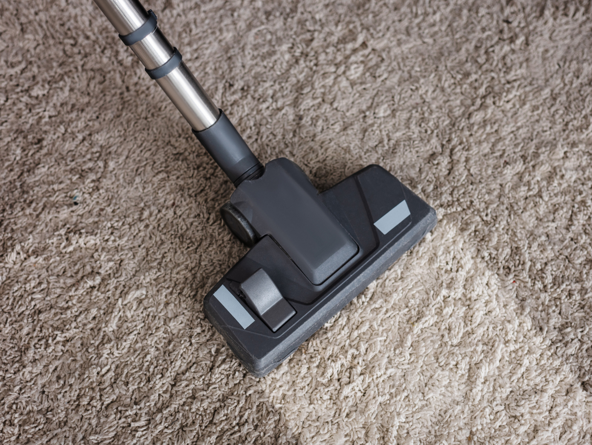 Vacuum cleaner head on beige carpet with silver handle attached
