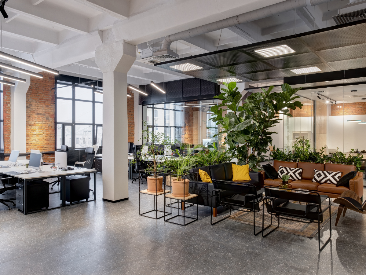 Modern open office with desks, lounge seating, plants, and large windows