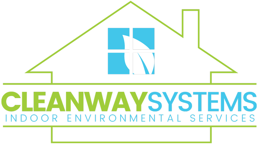 Cleanway Systems Inc logo