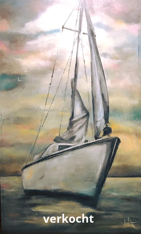 portfolio categorie : boten