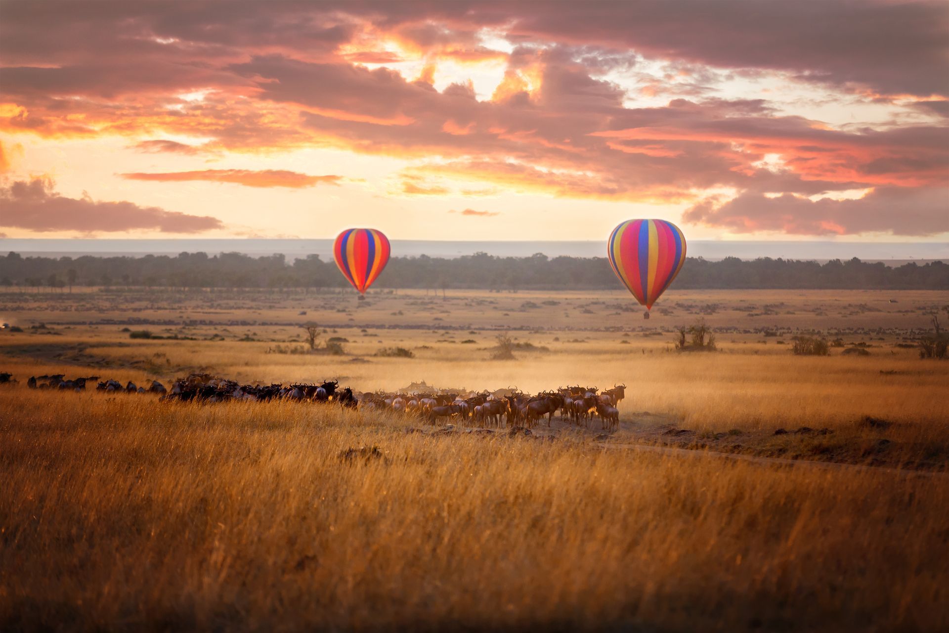 Africa hot air balloon