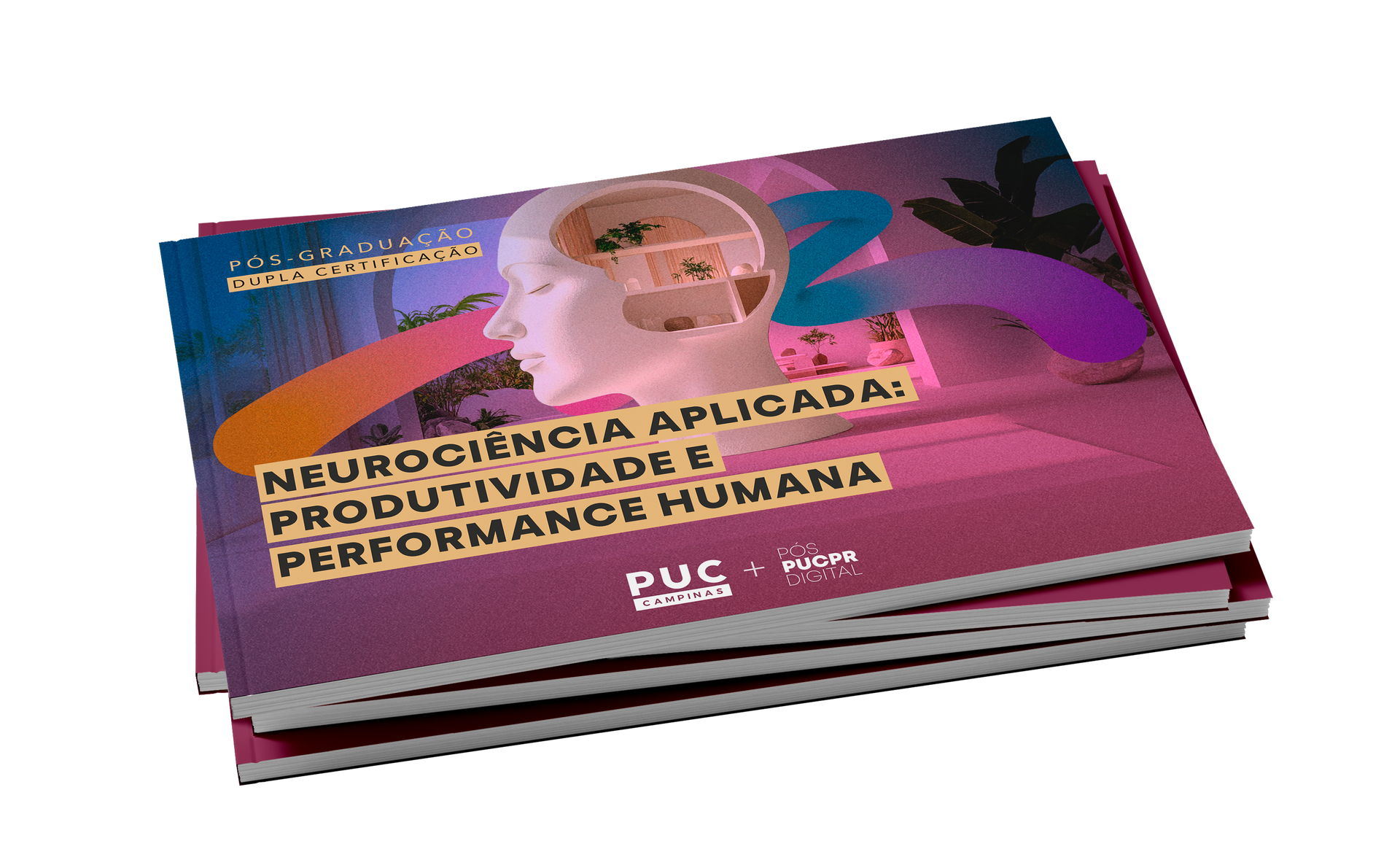 Guia do Curso