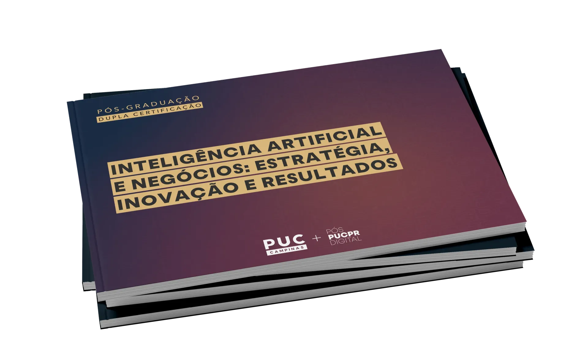 Guia do Curso
