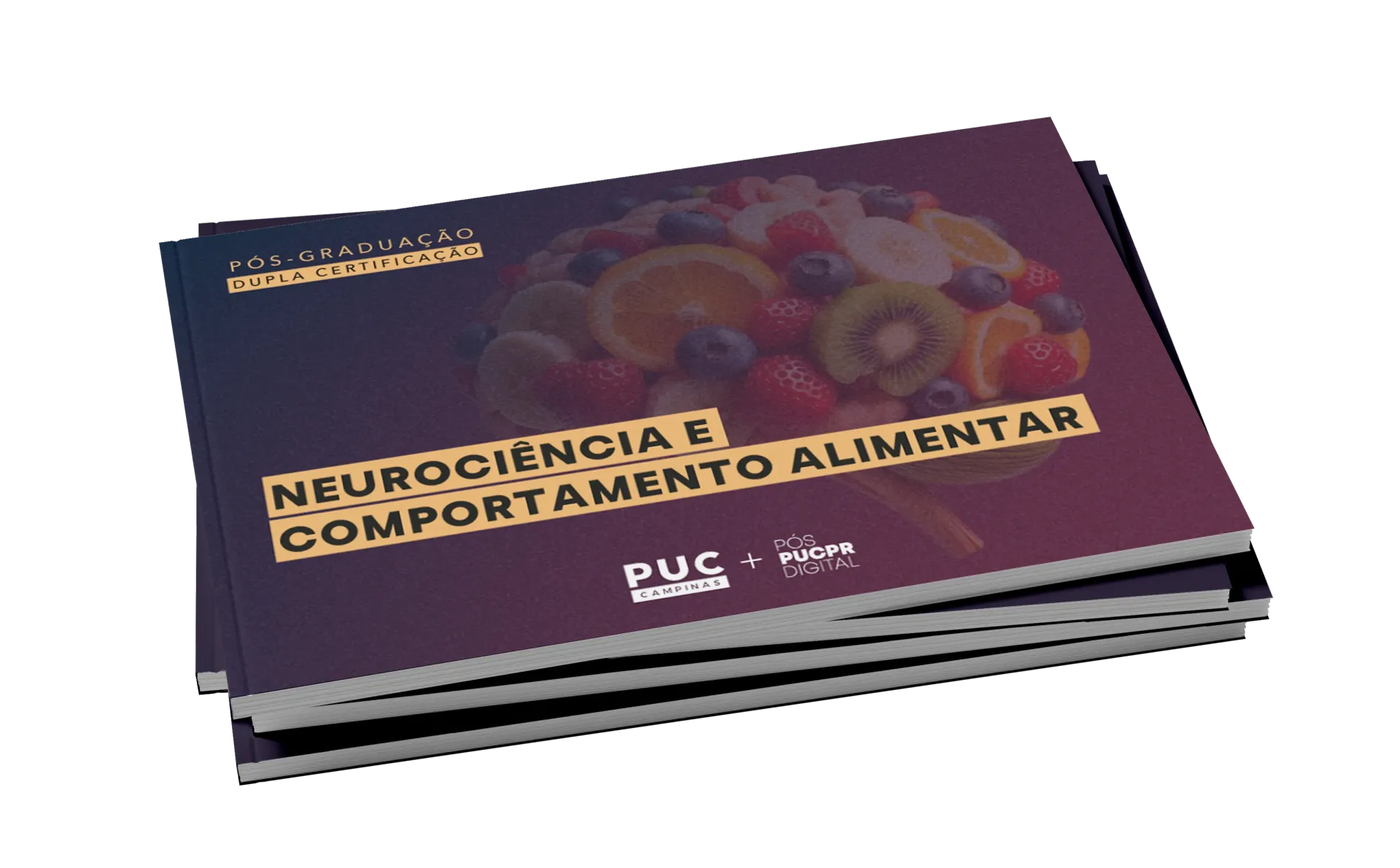 Guia do Curso