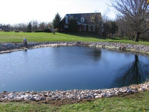 Mini pond — Ponds in Lexington KY