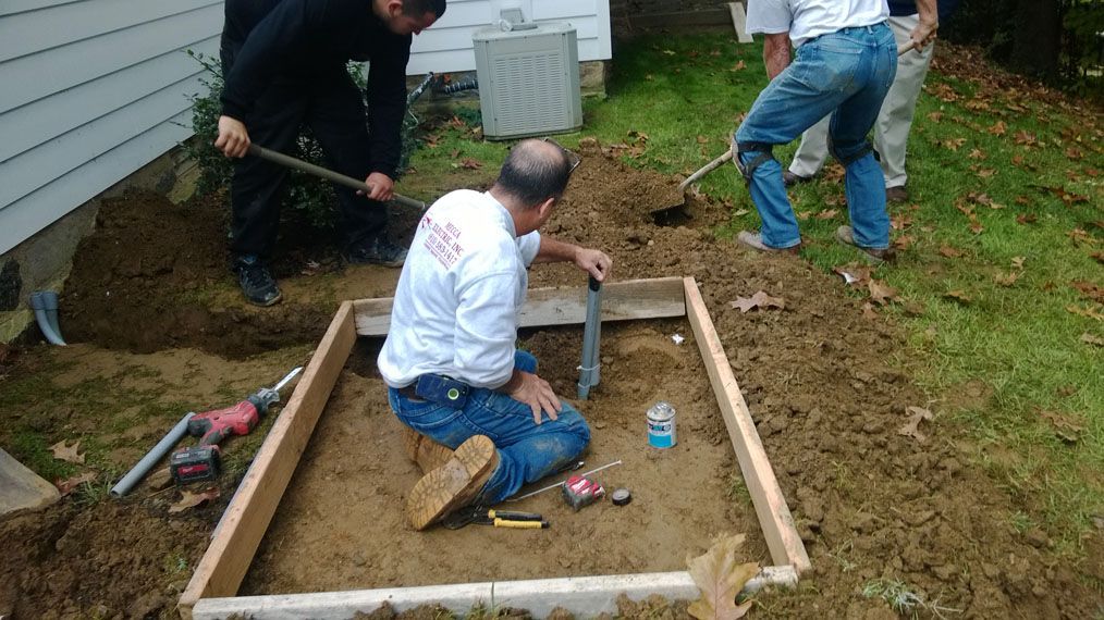 Whole Foods Installation 