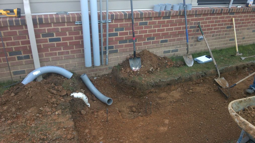 Whole Foods Installation 