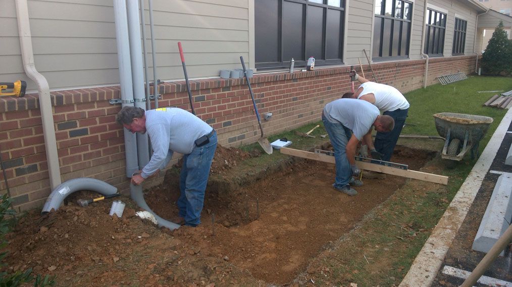 Whole Foods Installation 