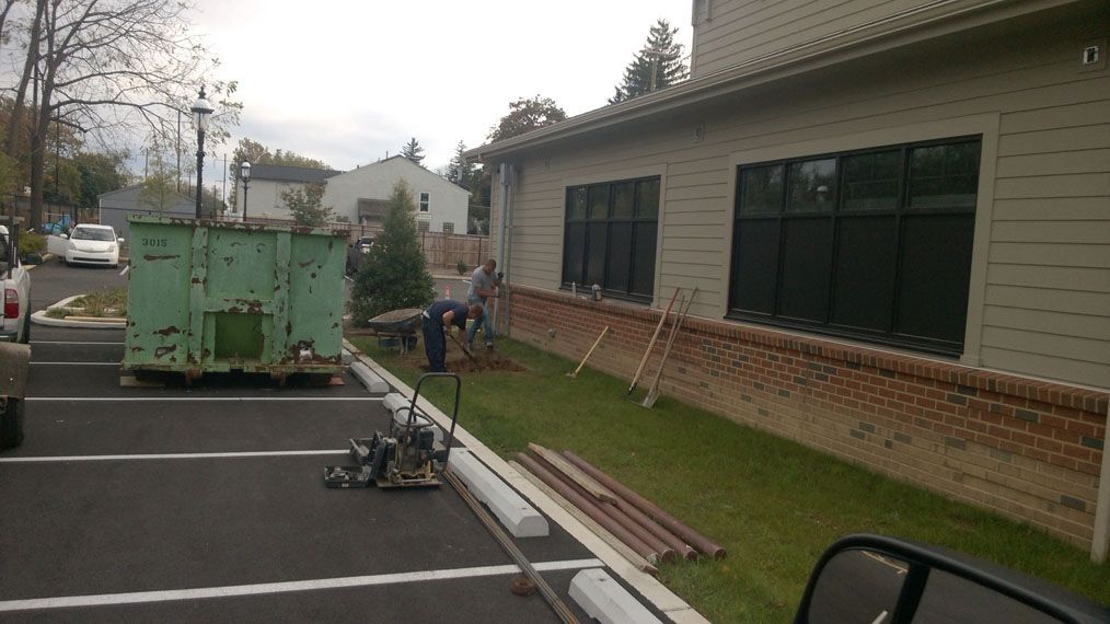 Whole Foods Installation 