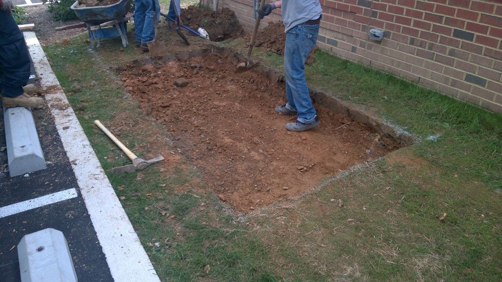 Whole Foods Installation 