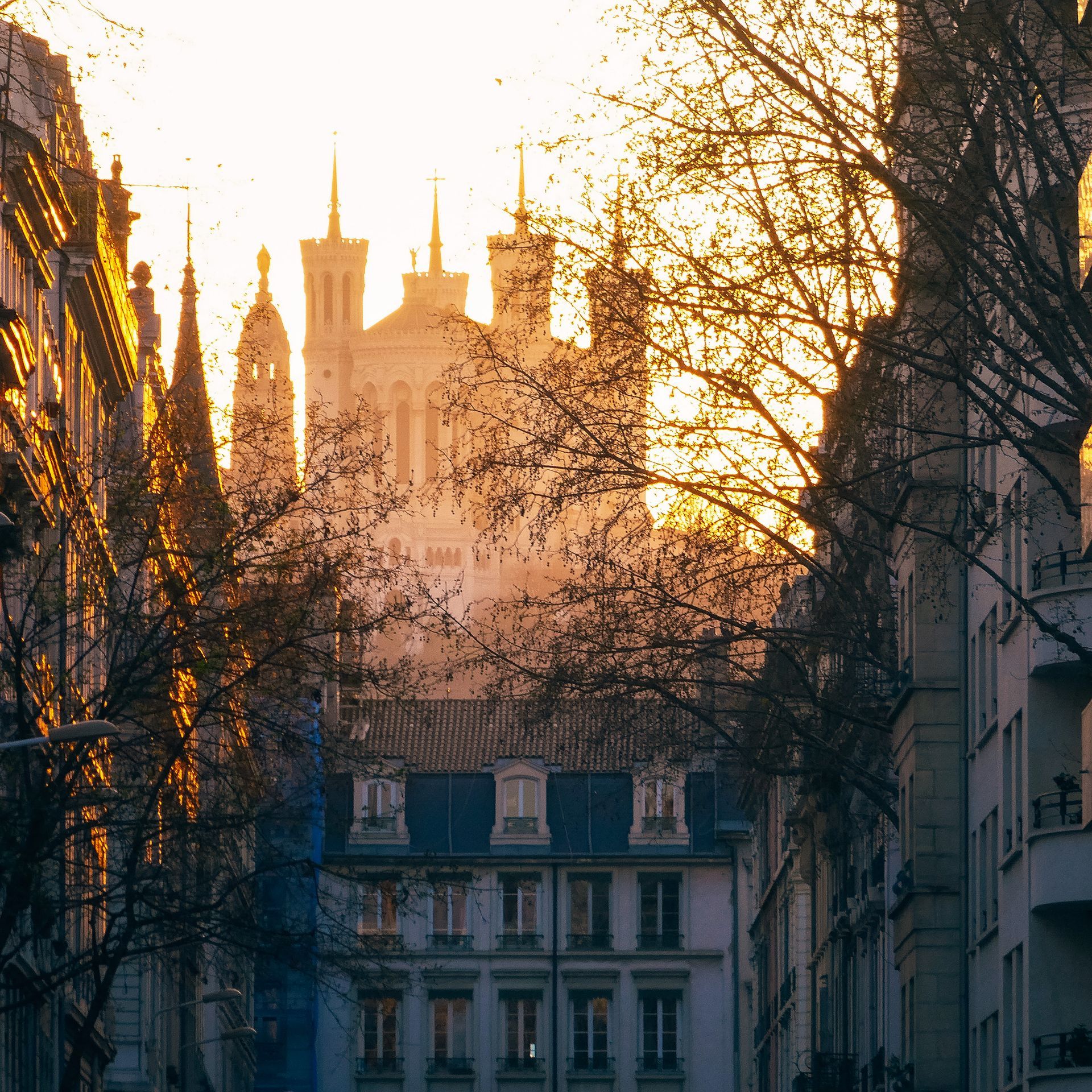 Lyon_03