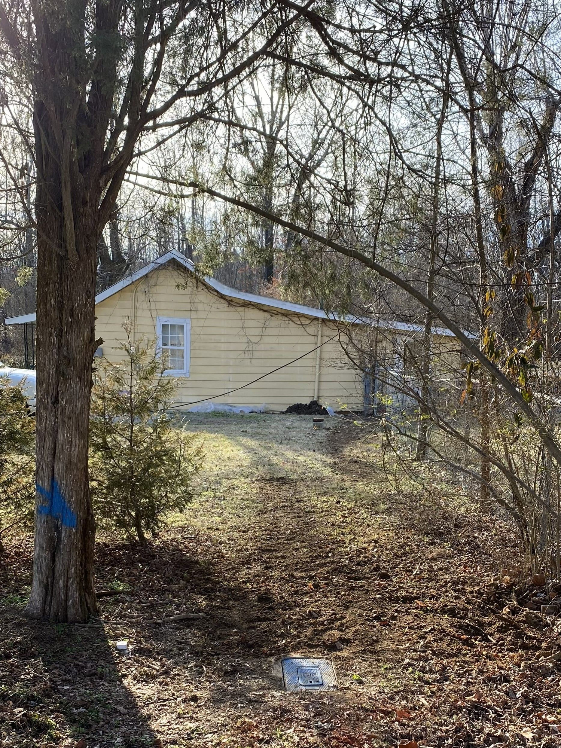 Yellow house in a wooded area; blue trail marker on tree in foreground.
