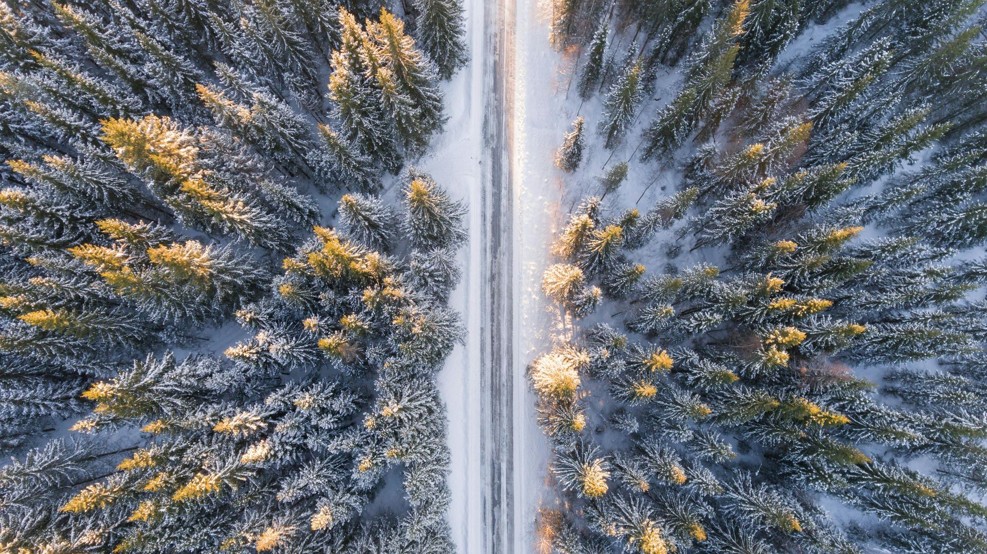 Aerial view of a snow-covered road through a forest, with trees lining both sides.