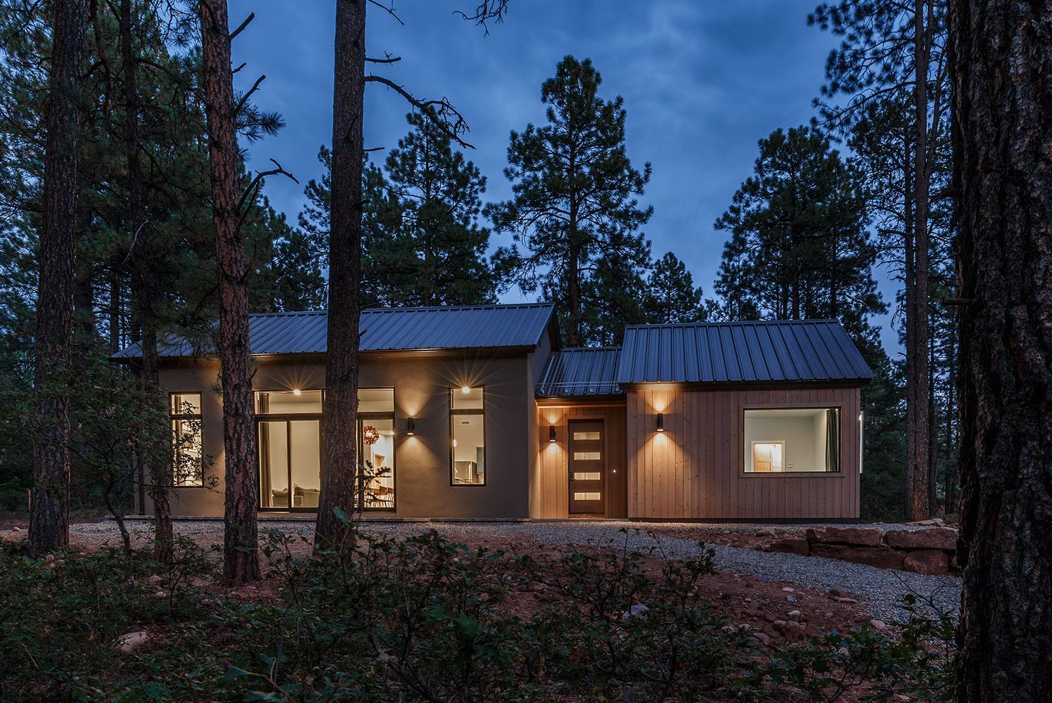 A house in the middle of a forest at night