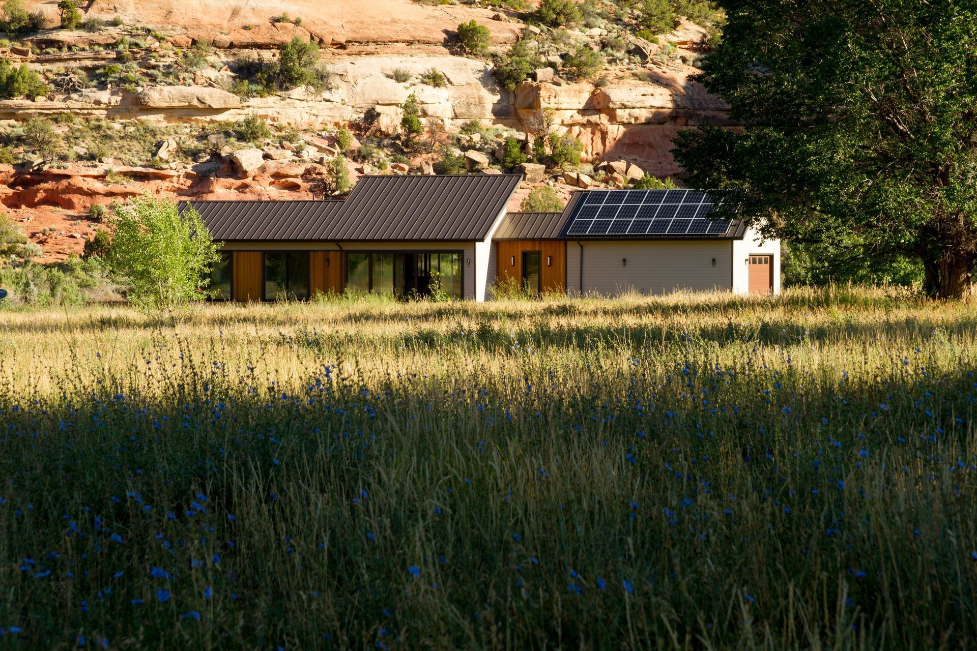 A house with solar panels on the roof is in the middle of a field.