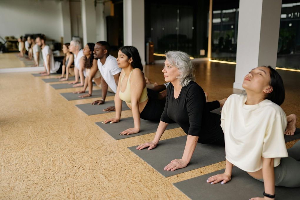 Group of diverse people in yoga class, in upward-facing dog pose on mats, in bright studio.