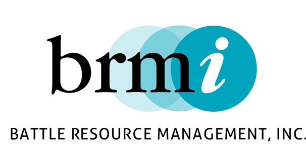 BRMI logo