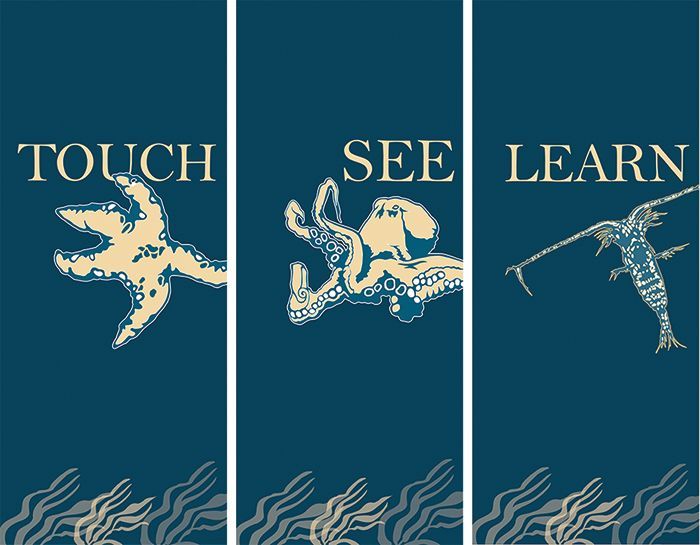 Fiero sea creatures