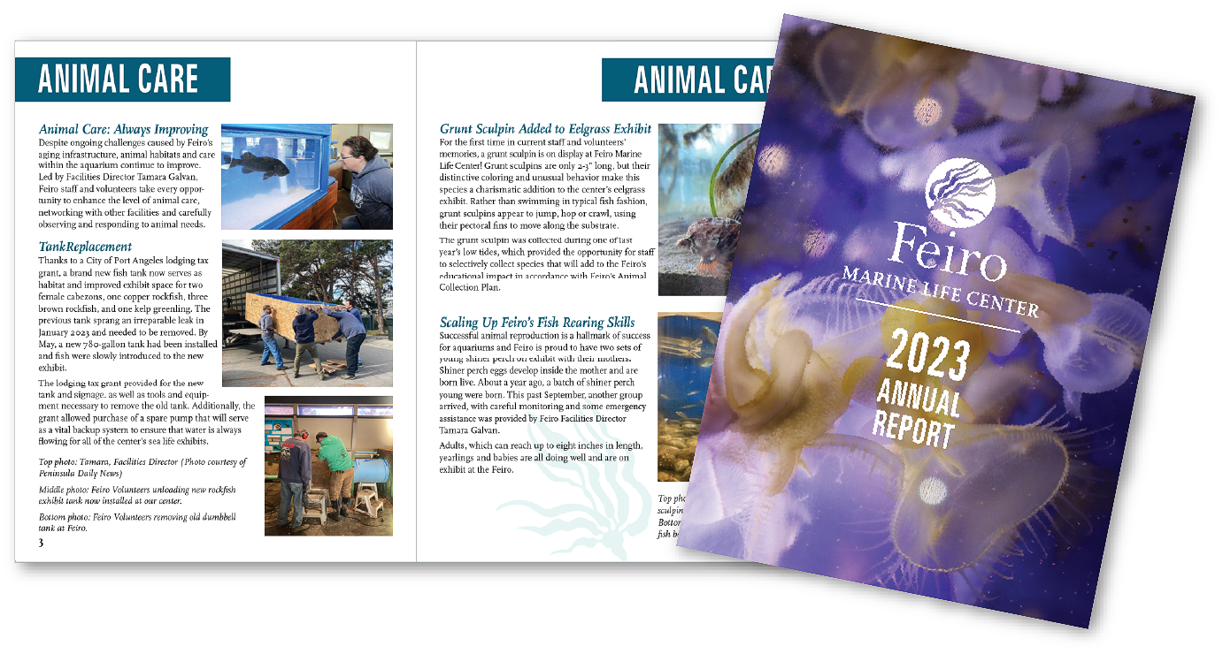 Feiro Annual Report