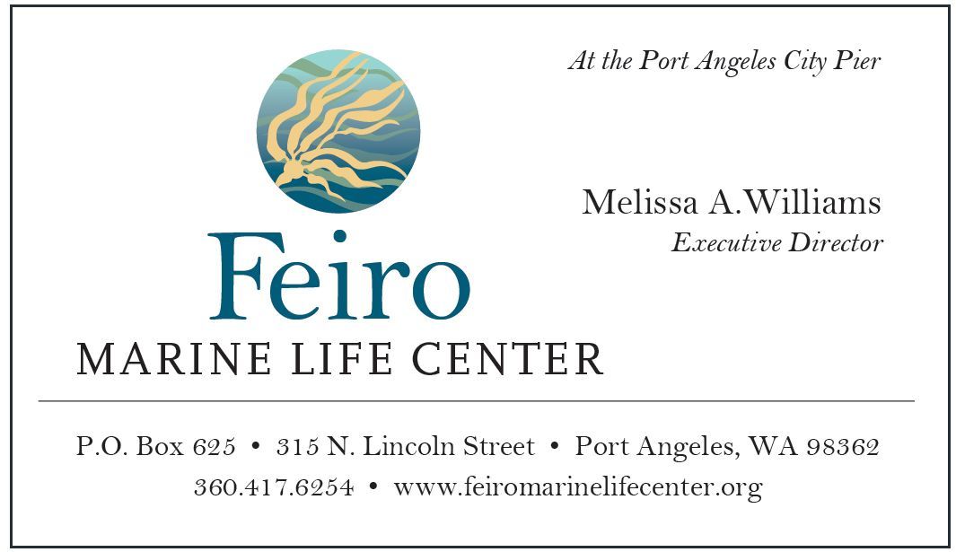 Feiro business card