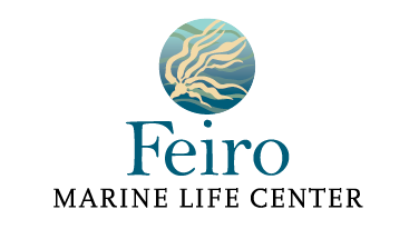 Feiro Marine Life Center logo