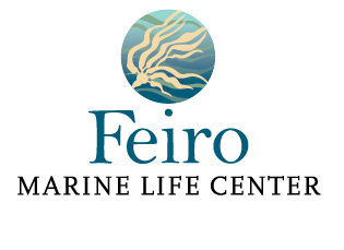 Feiro Marine Life Center logo
