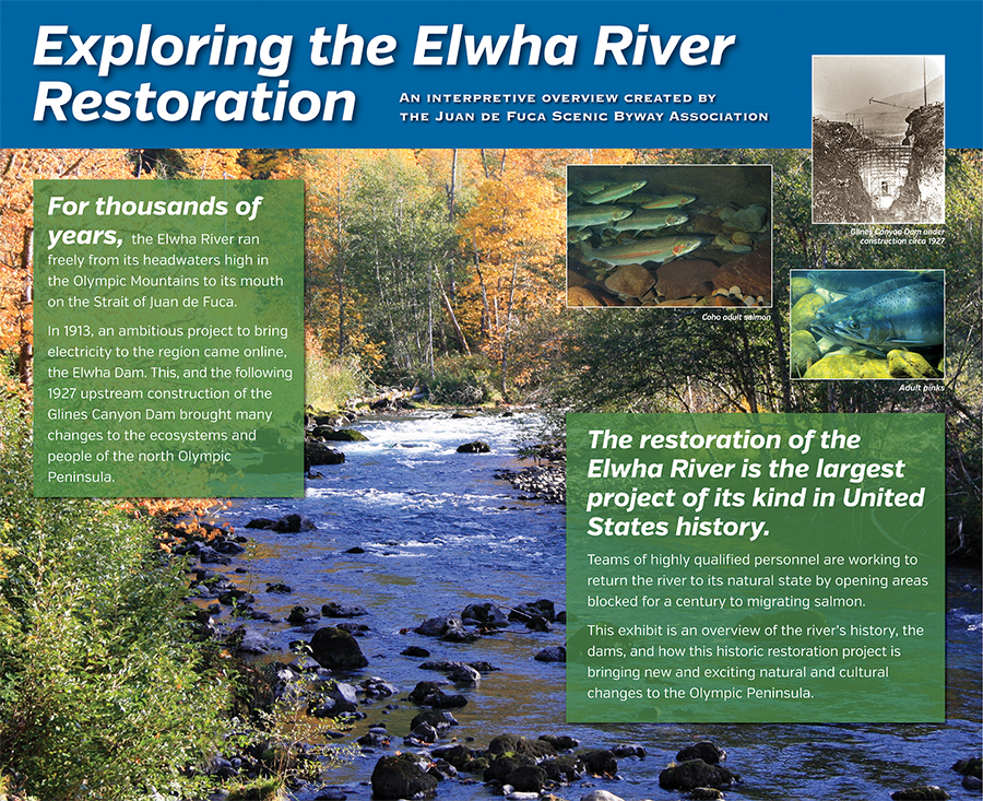 Elwha River Restoration display