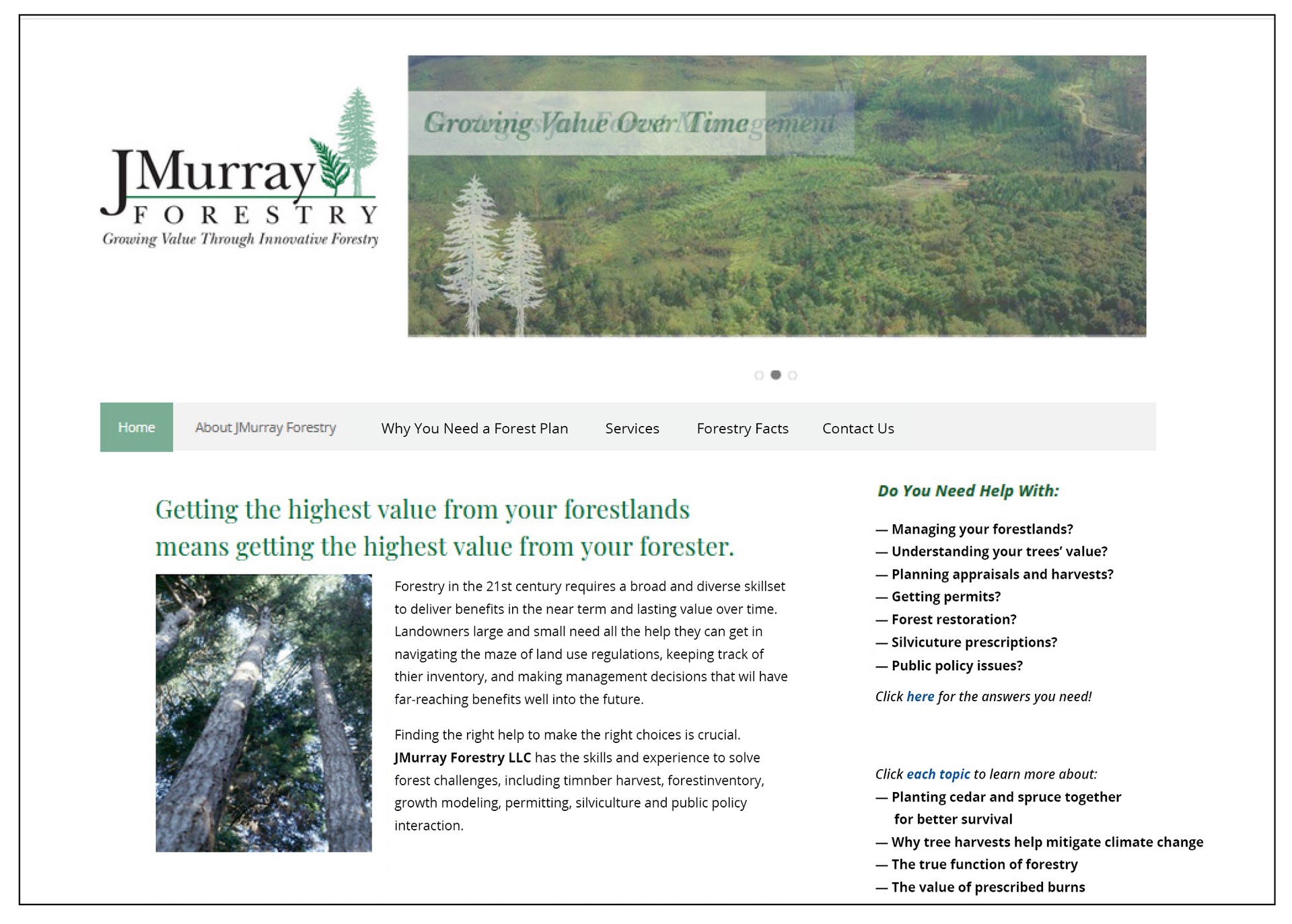 JMurray Forestry web site