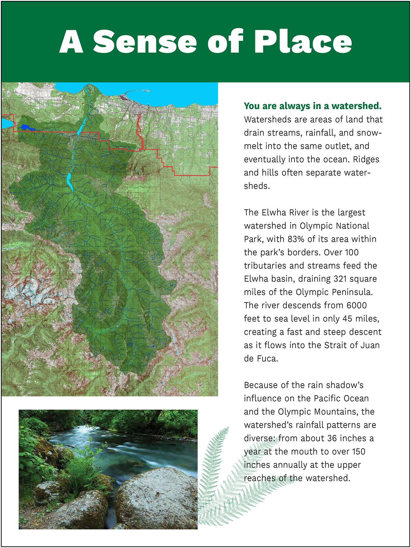 NatureBridge display panel