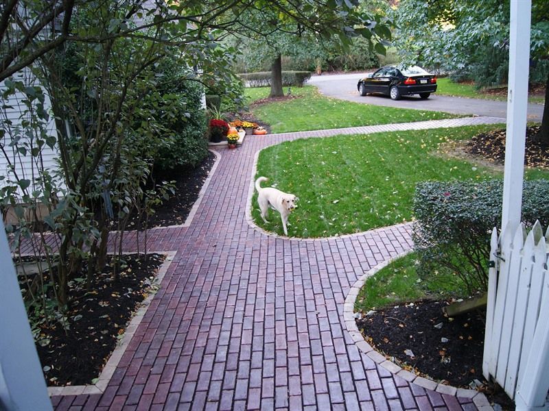 Brick pathway leading to a yard with a yellow dog. Black car on the driveway, green lawn.