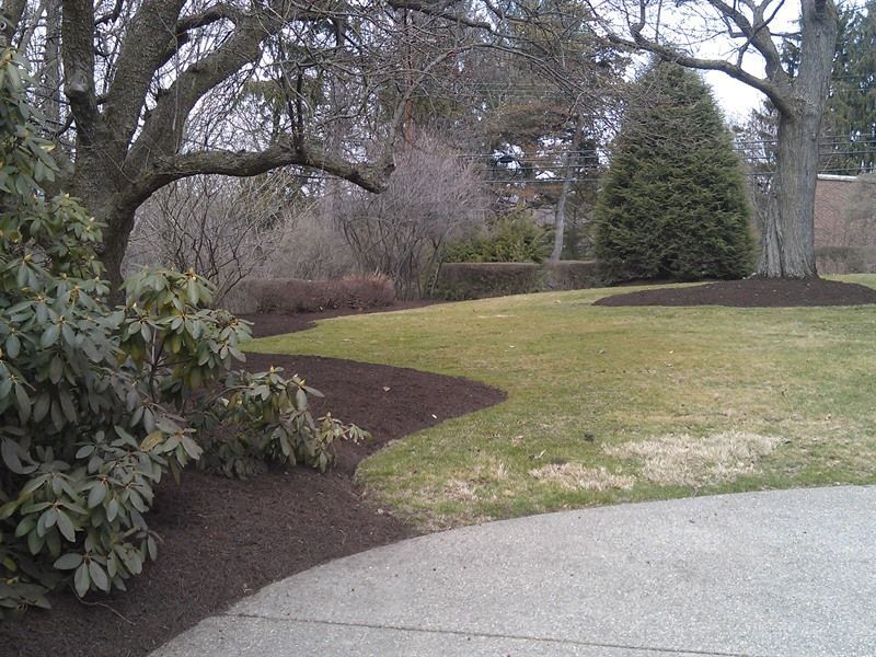 Lush green lawn with mulch beds bordered by a concrete driveway. Trees in background, cloudy sky.