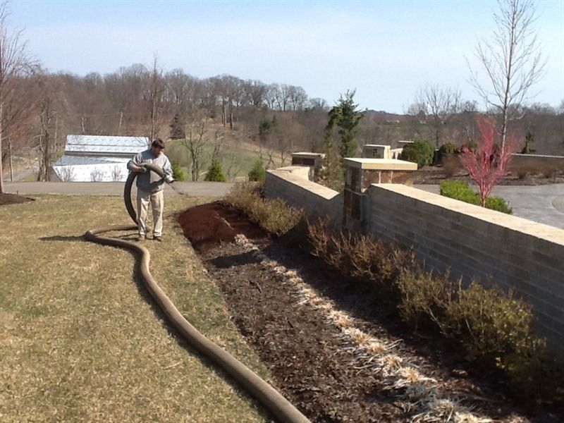 Man using a hose to spread mulch in a landscaped bed next to a low wall and lawn.