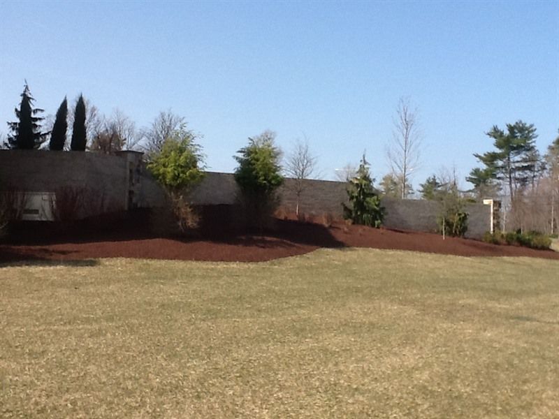 A mulched garden bed with trees and shrubs in front of a gray wall, on a grassy lawn under a blue sky.