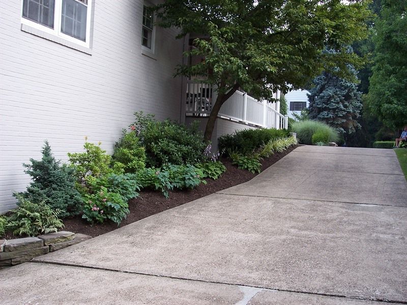 Concrete driveway slopes upward past a landscaped bed of green shrubs and trees, beside a white building.