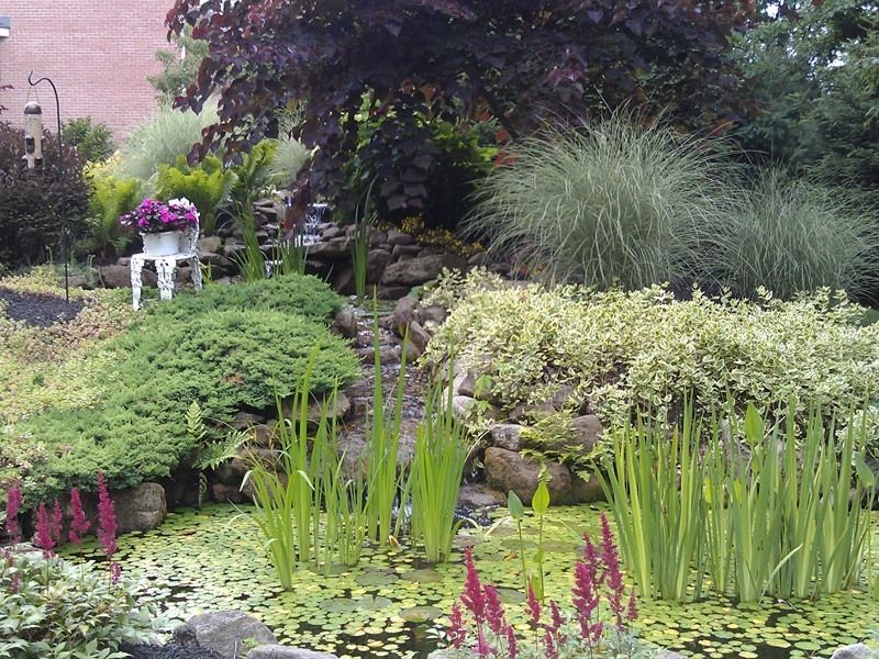 Lush garden with a pond and waterfall. Green and purple plants surround the water. A white chair holds a flower pot.