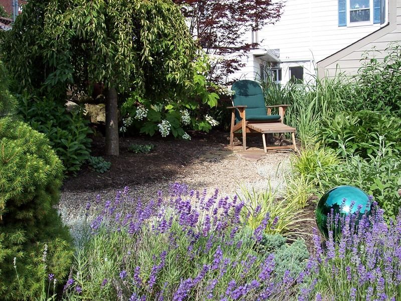 A backyard garden with lavender, a wooden chair, and a decorative blue glass ball.