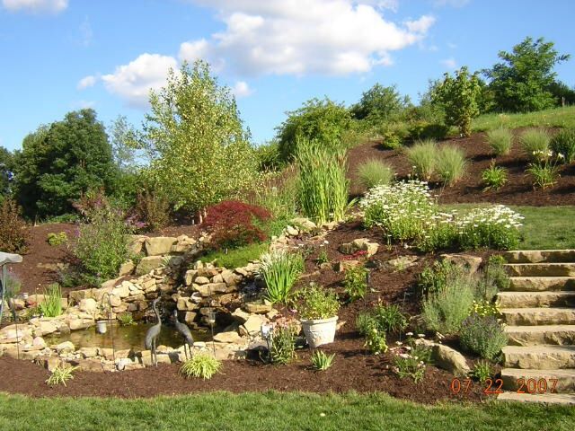 Landscaped hillside with stone stairs, waterfall, pond, and various plants under a blue sky.