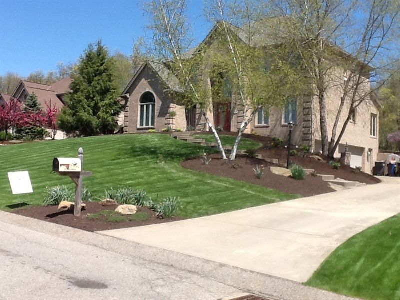 Two-story beige house with lush green lawn and birch trees. Driveway and mailbox in view, sunny day.