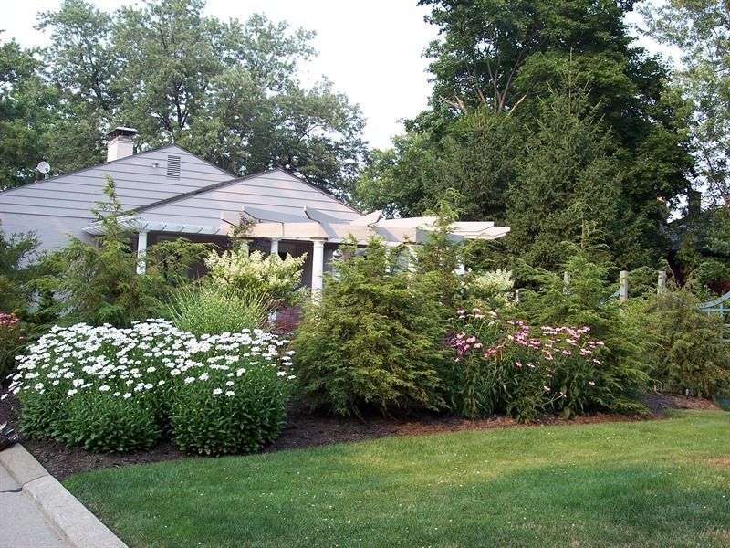A house with a landscaped front yard featuring bushes, flowers, and a pergola.
