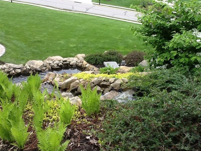 Lush garden with a water feature. Green grass and diverse plants surround a rocky pond.