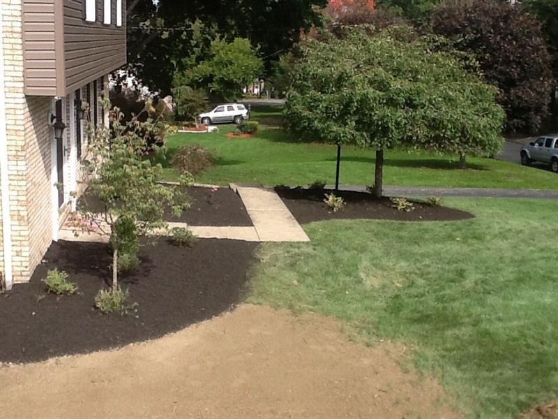 Brown house with landscaping, path, and trees in a green yard.