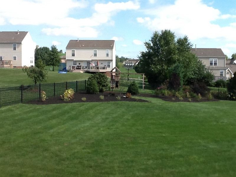 Backyard view with green grass, houses, trees, a fence, and a flower bed on a sunny day.