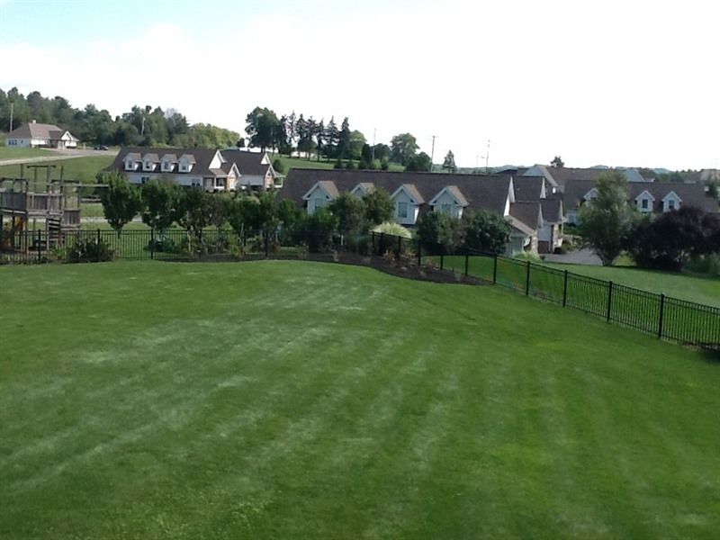 Green lawn in front of a row of houses with brown roofs, on a sunny day.