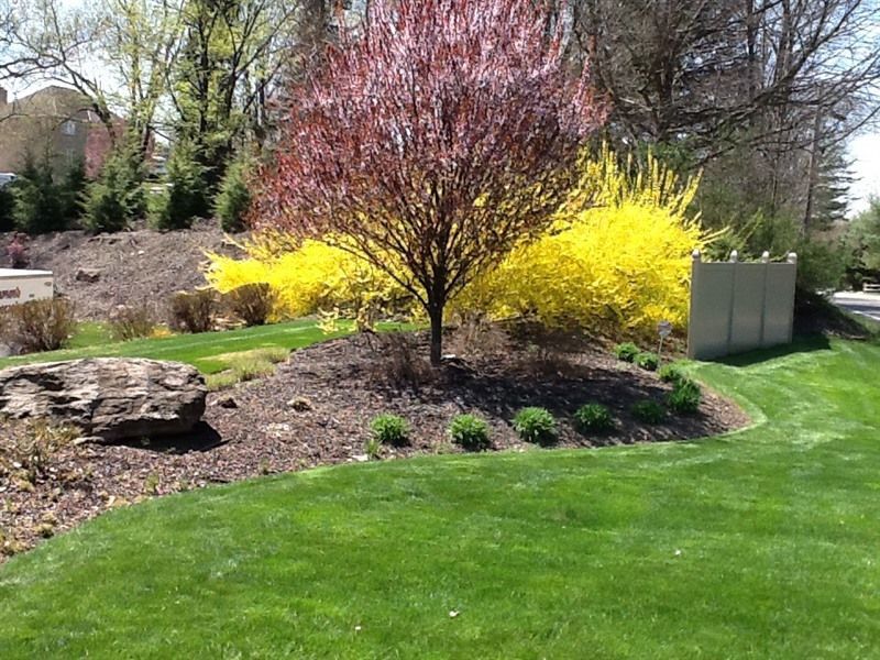 A vibrant landscape with a red tree, yellow bushes, and green grass.