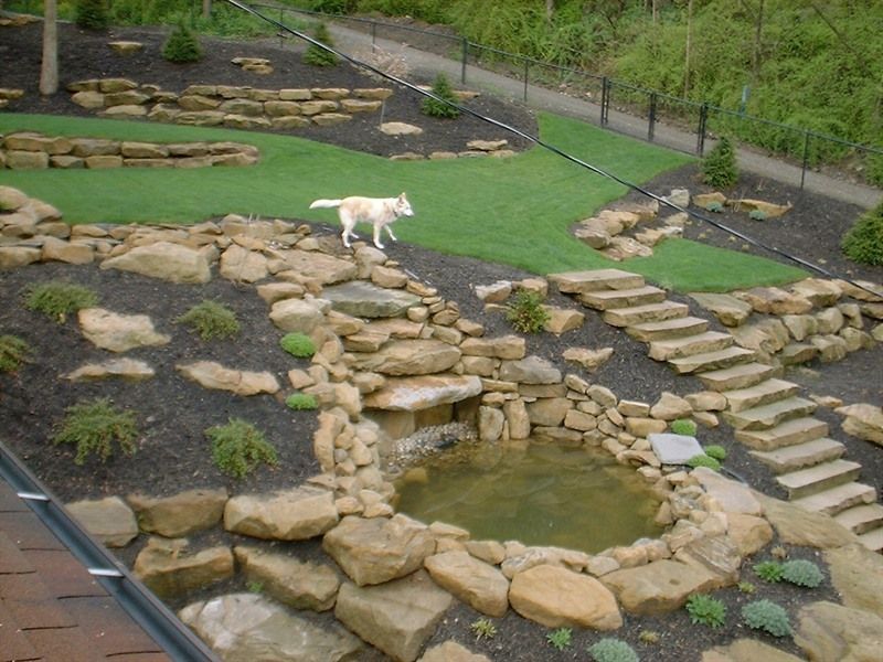 A dog walks through a tiered garden with a pond, stone steps, and landscaping.
