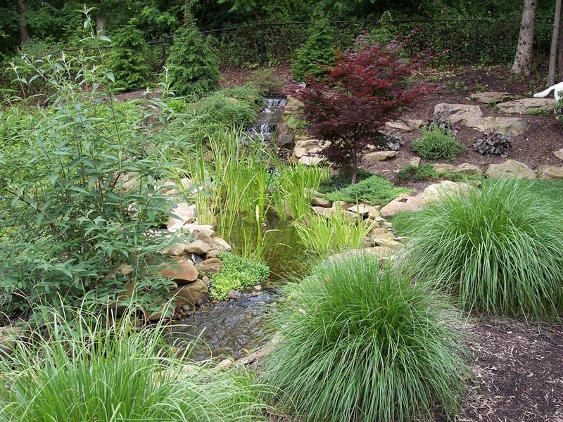 A naturalistic garden with a small waterfall, green and red foliage, and ornamental grasses.