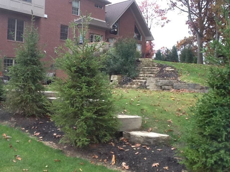 Evergreen trees line a sloped yard with stone steps leading to a brick house.