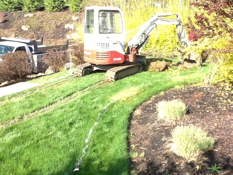 Small excavator on grass lawn next to a flowerbed, digging. White truck and hillside in the background.