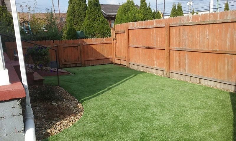 Small backyard with artificial turf, brown wooden fence, and small trees.